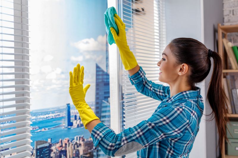 Residential Window Cleaning